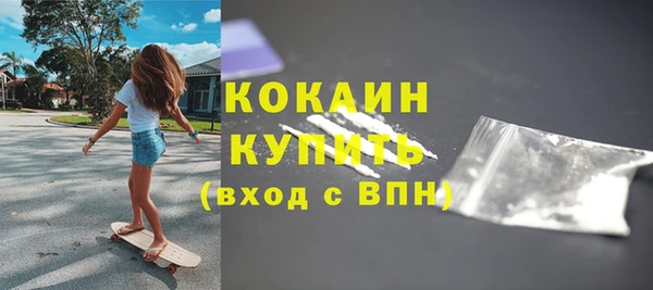 молекула духа Гвардейск