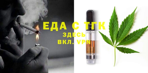 гидра Богородицк