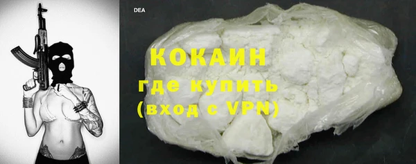 гидра Богородицк