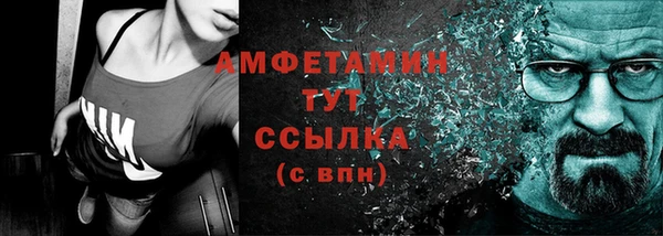 гидра Богородицк