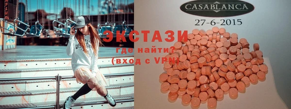 гидра Богородицк