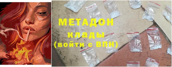 гидра Богородицк