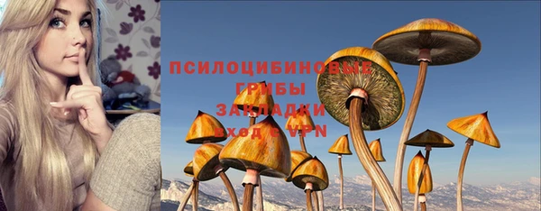 не бодяженный Богородск