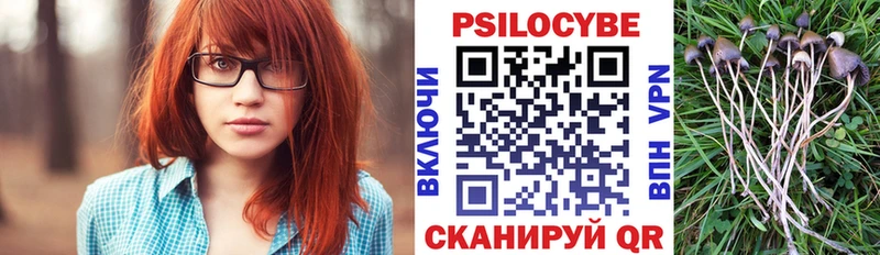 kraken как зайти  Макаров  это формула  Галлюциногенные грибы ЛСД 